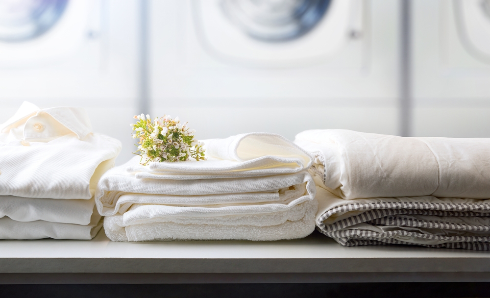 save with laundry delivery services